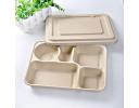 Eco biodegradable disposable food tray - 15981